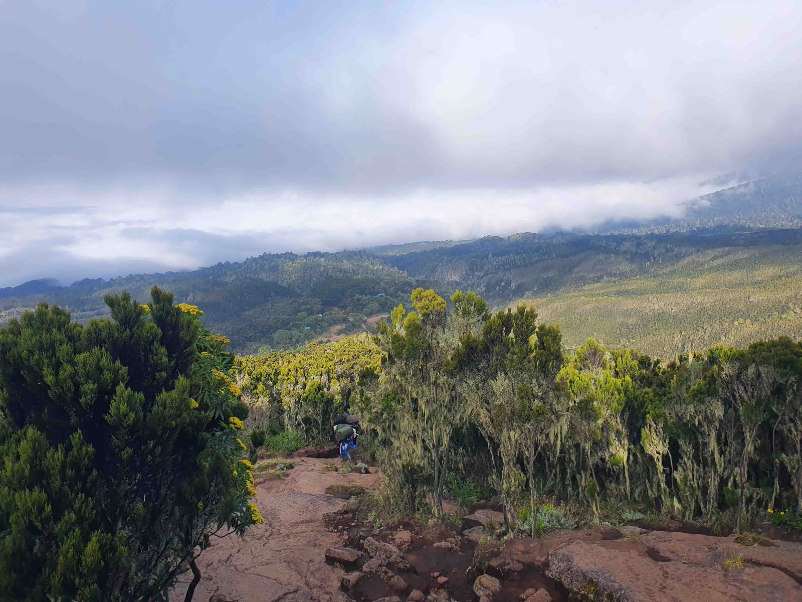 The Best Ultimate Kilimanjaro Climbing in 11-Day Northern Circuit Trek