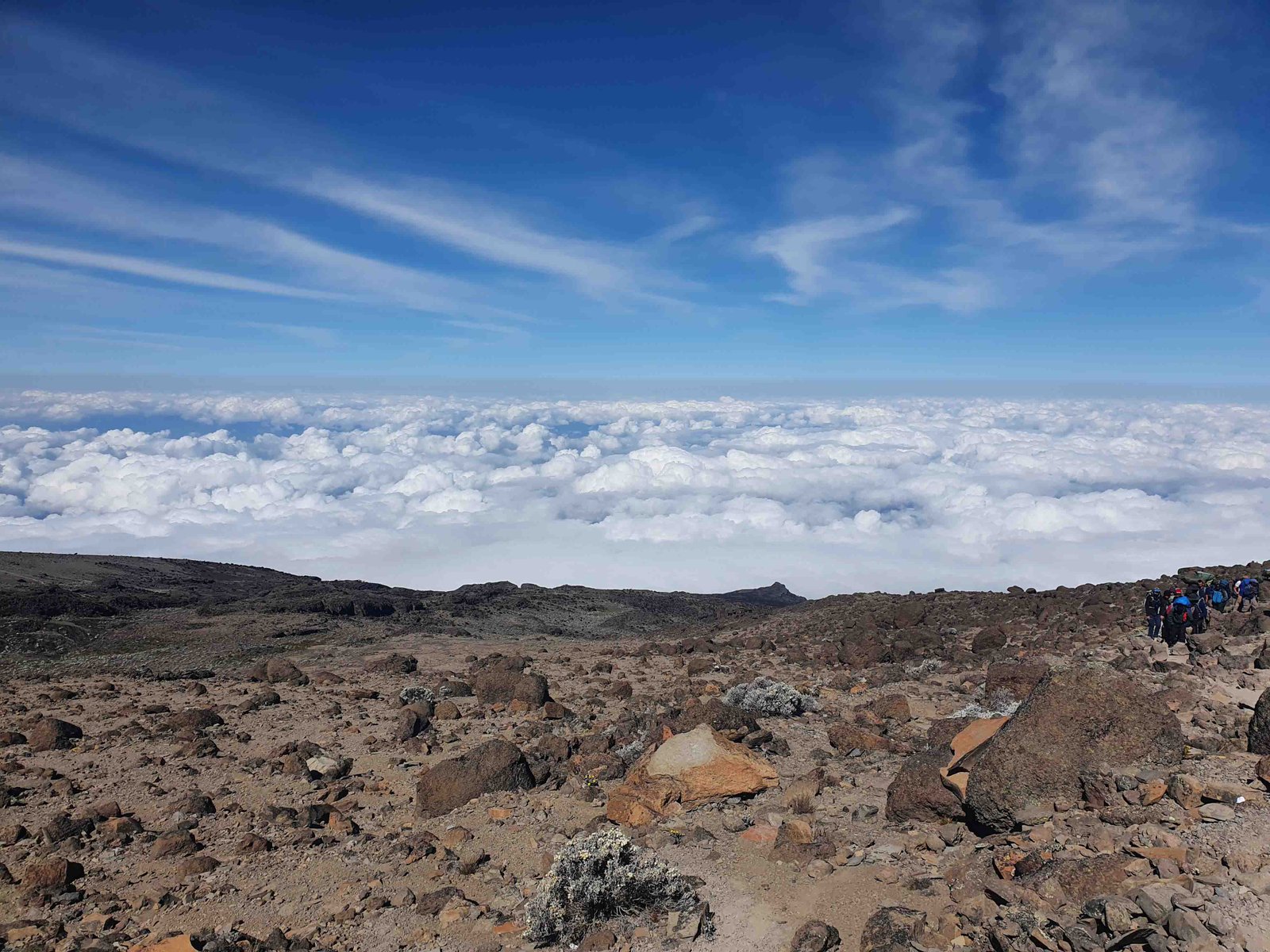 10 Days Kilimanjaro climbing Northern circuit