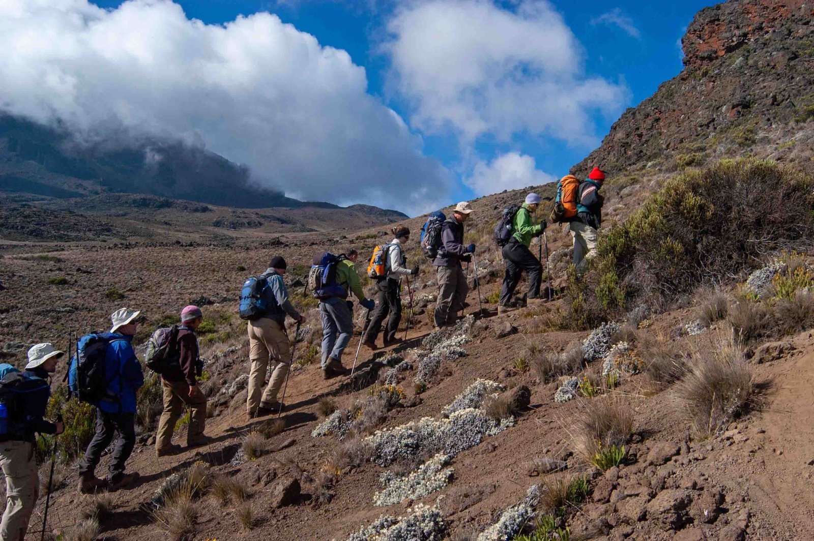 The best Ultimate Kilimanjaro Climbing Umbwe in 7 days route