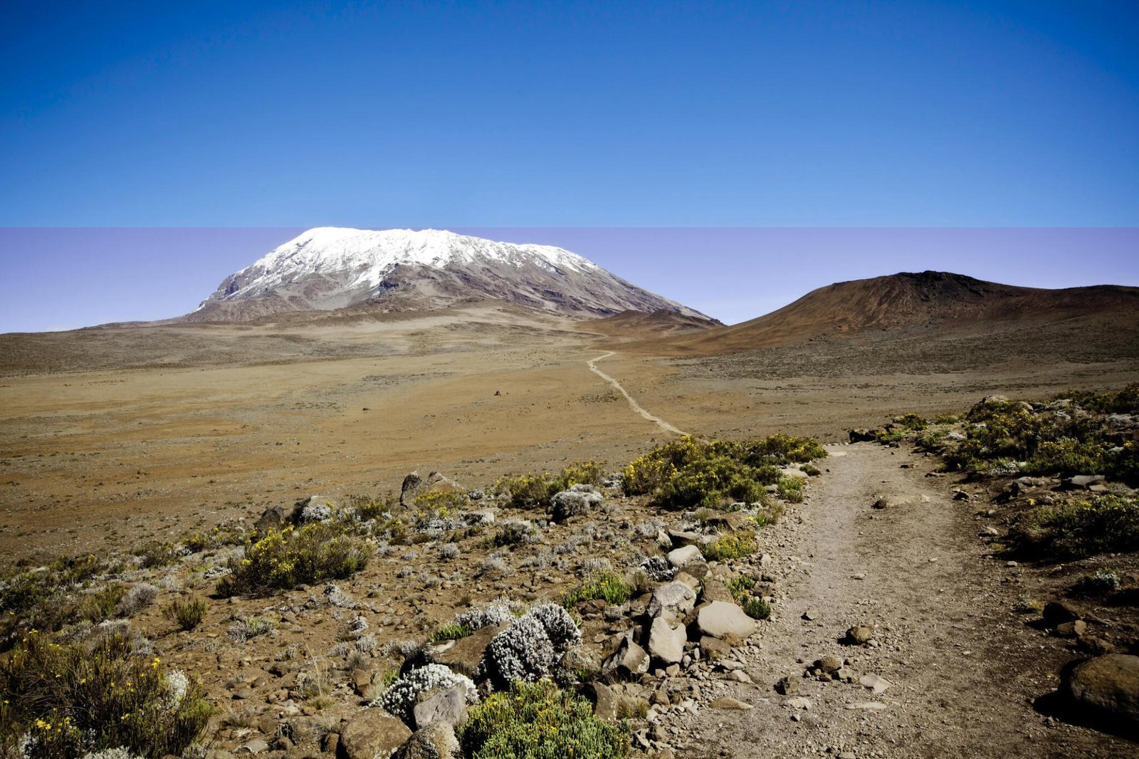 Mount Kilimanjaro/ Kilimanjaro national park