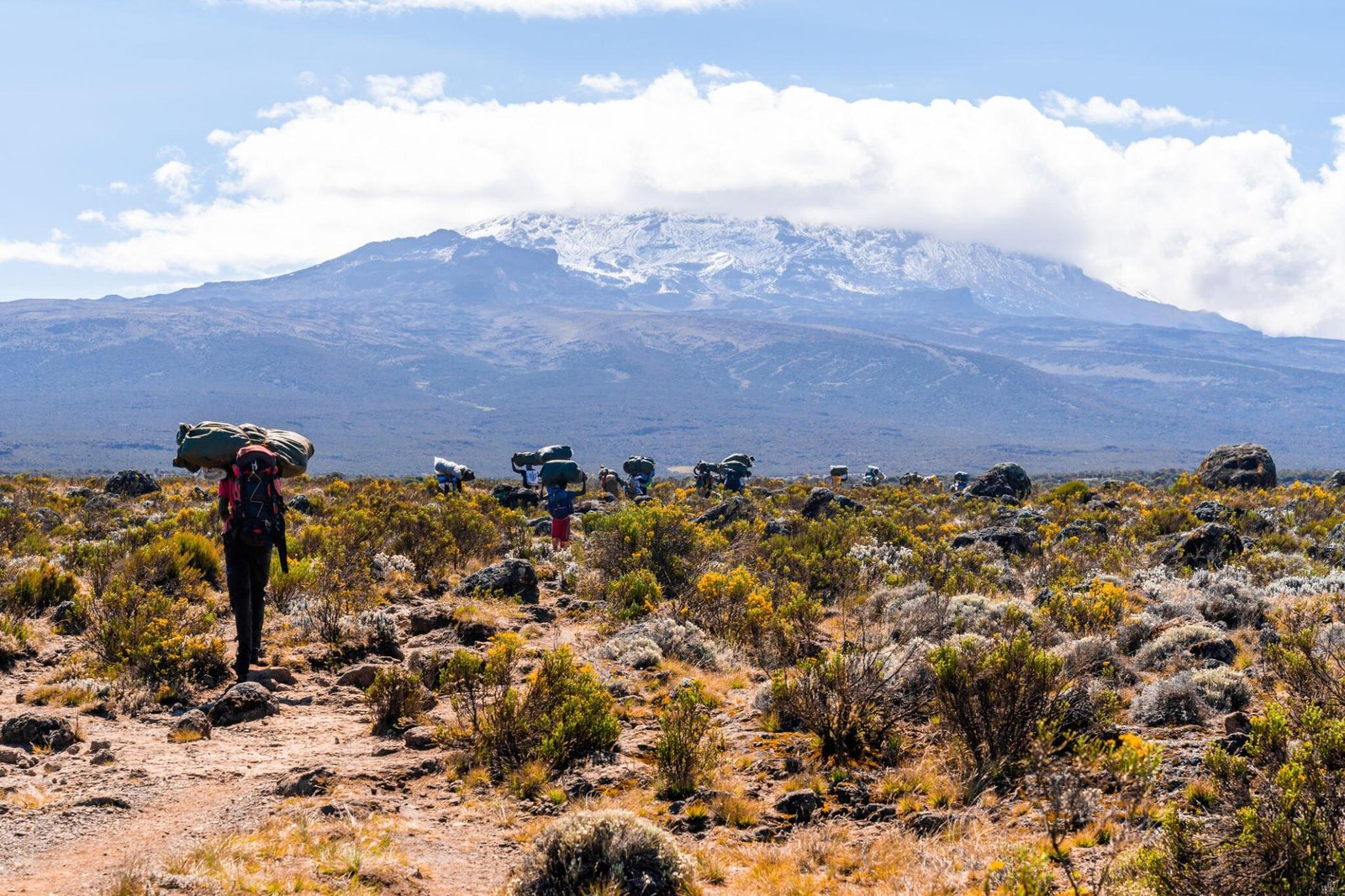 The Best Ultimate in 7 Days Kilimanjaro Climbing Rongai Route