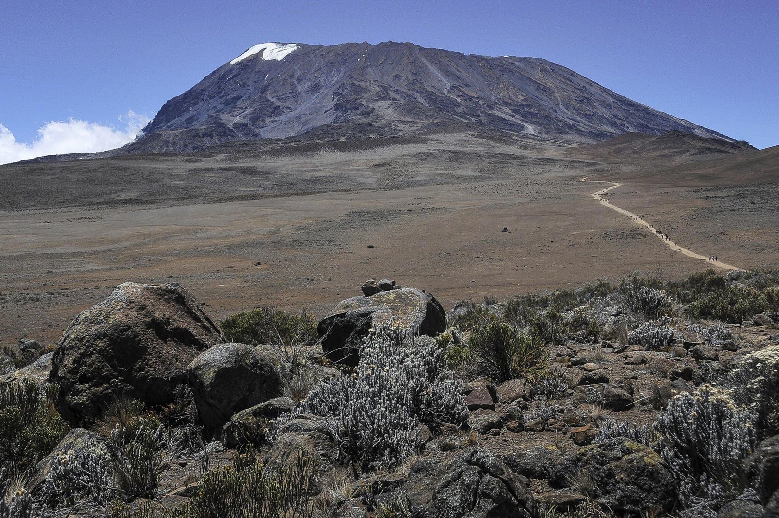 Hiking & climbing Kilimanjaro in Tanzania