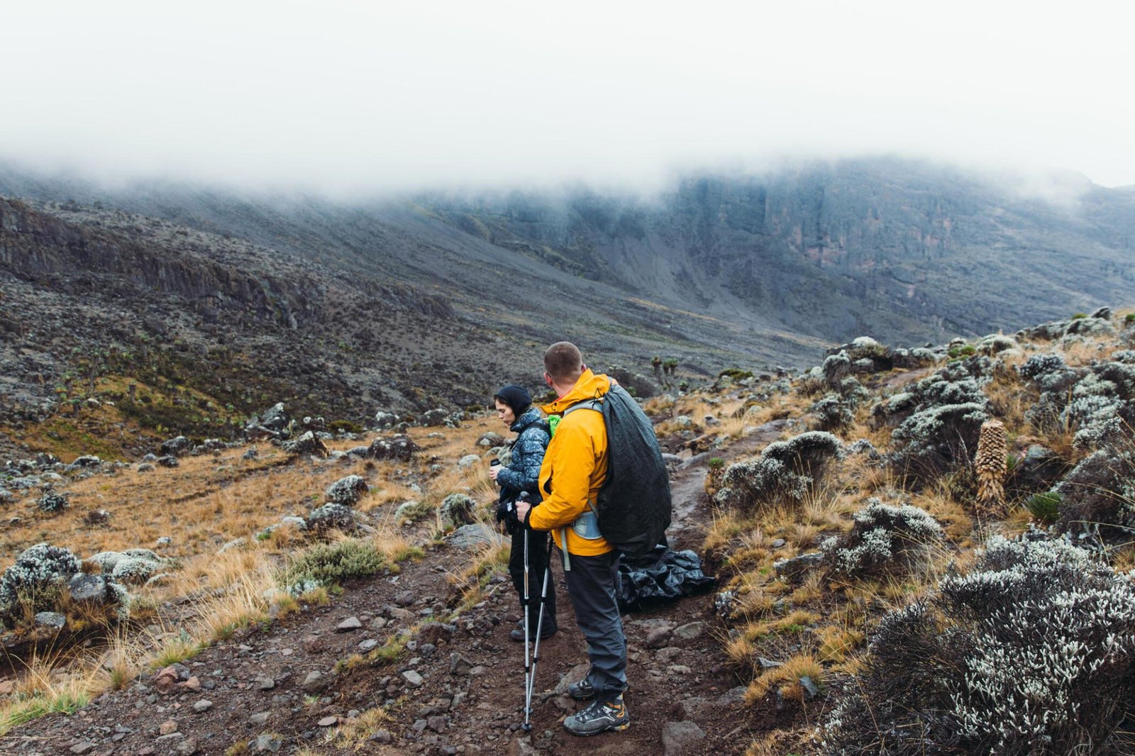 The Best Ultimate Kilimanjaro Day Hike From Moshi | Marangu Route