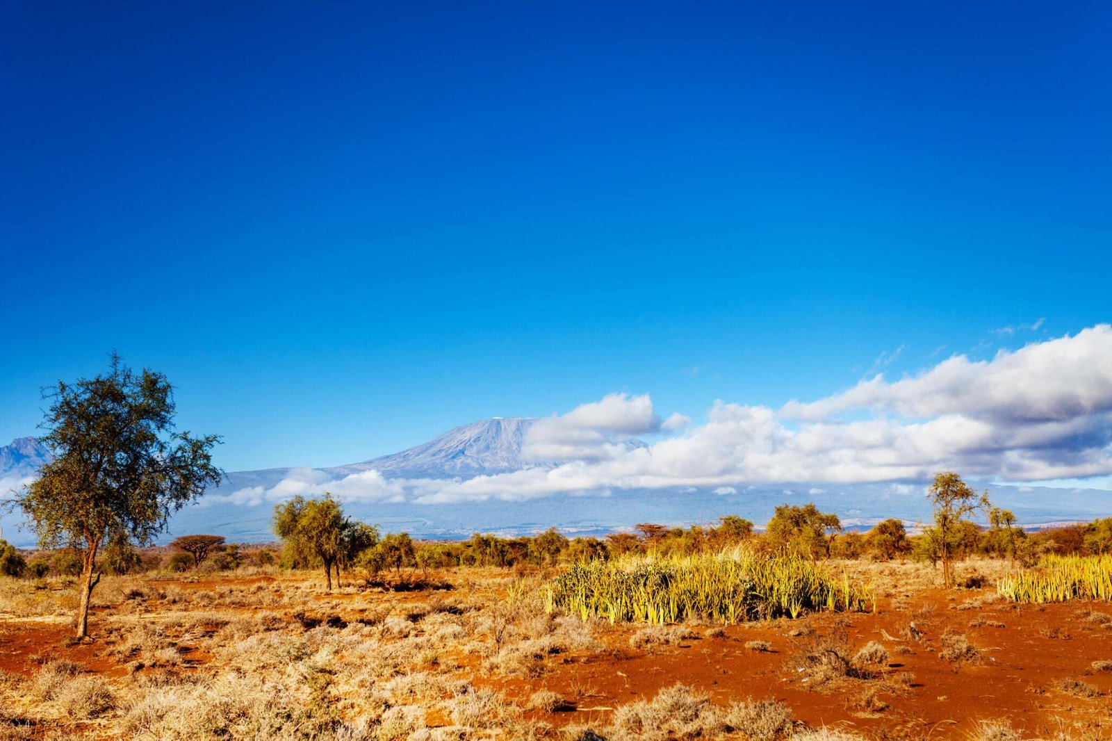 Machame 6 Days Trekking Guide - Climbing Kilimanjaro