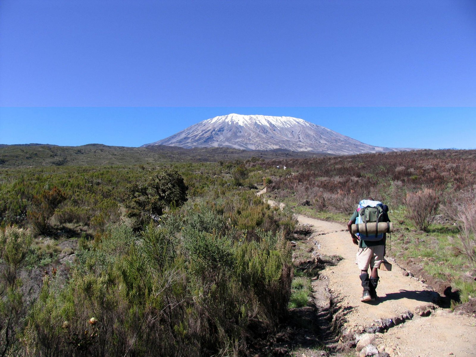 CLIMB KILIMANJARO 2024 DATES AND PRICES