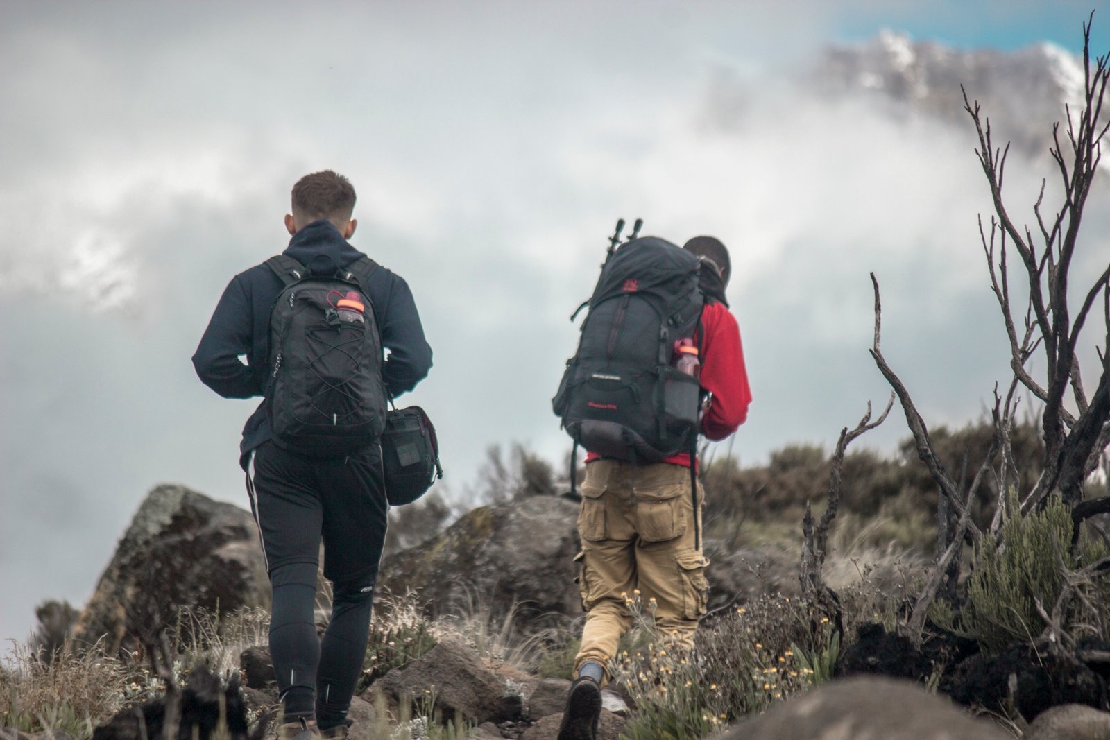 The Best Ultimate 6 days Kilimanjaro Climbing Marangu route