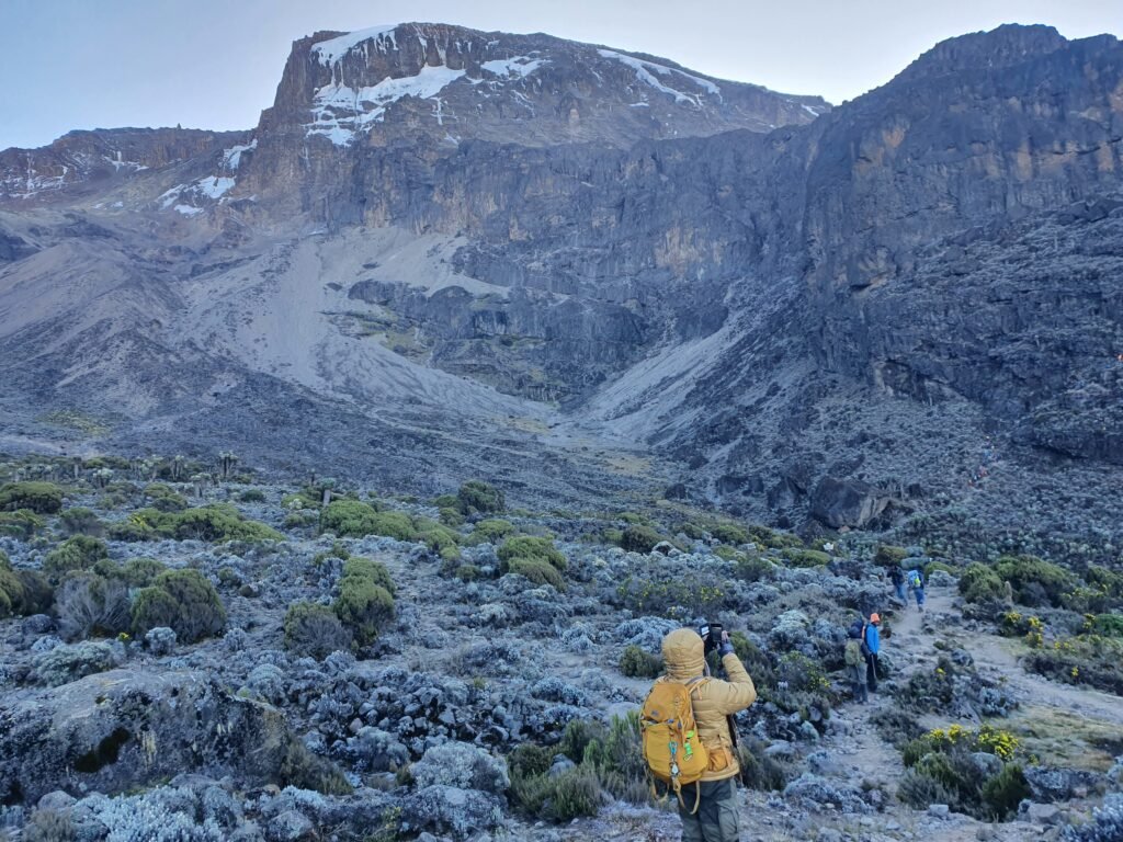 The Best Worldwide-Class Seven (7)-Days Kilimanjaro Climbing Lemosho 2025&2026