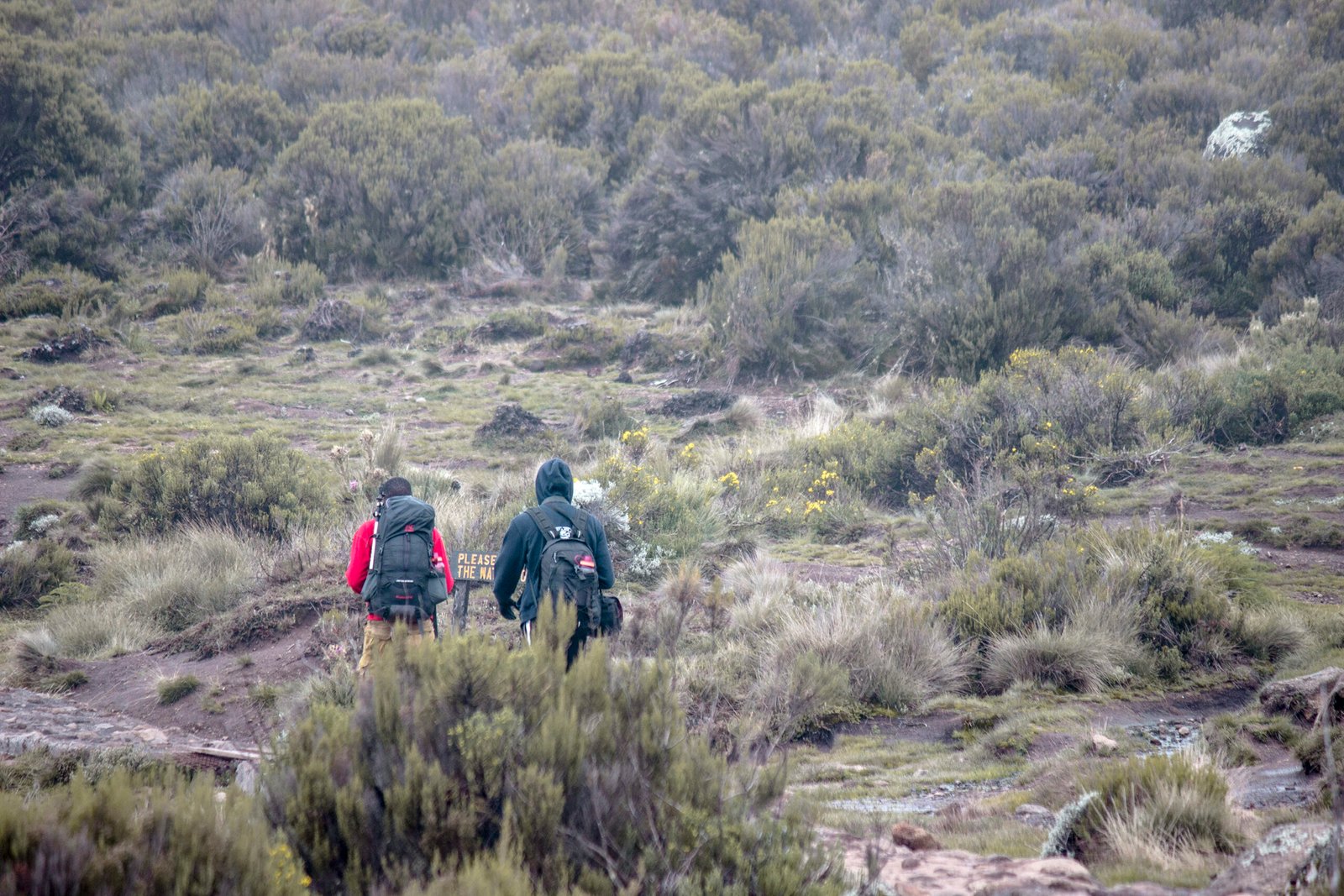 The Best 6-days/5nights Kilimanjaro Umbwe Route Superior Ultimate Adventure in Trekking – Climbing with Affordable Prices and High Successfully rate itinerary