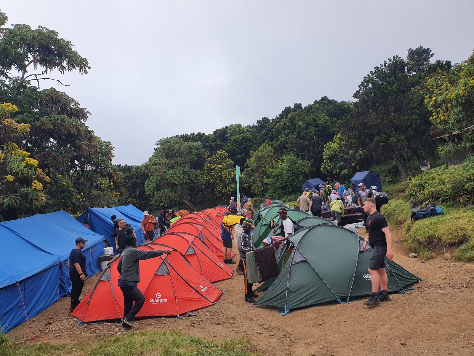 The best 6-Days Kilimanjaro Climb Machame to Summit of Africa