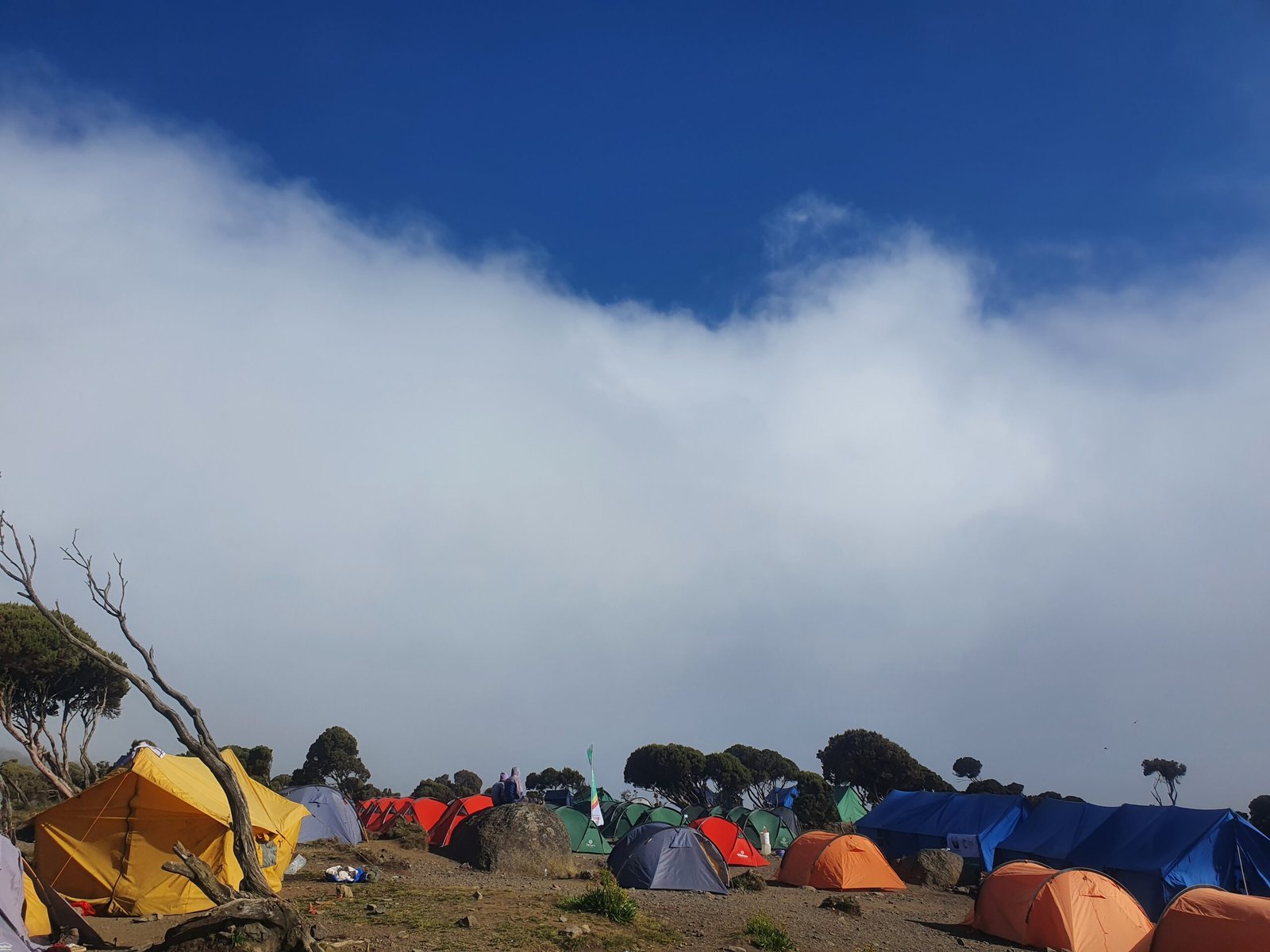 Everything you need to Know about 6-days Kilimanjaro Climb Machame 2025-2026…