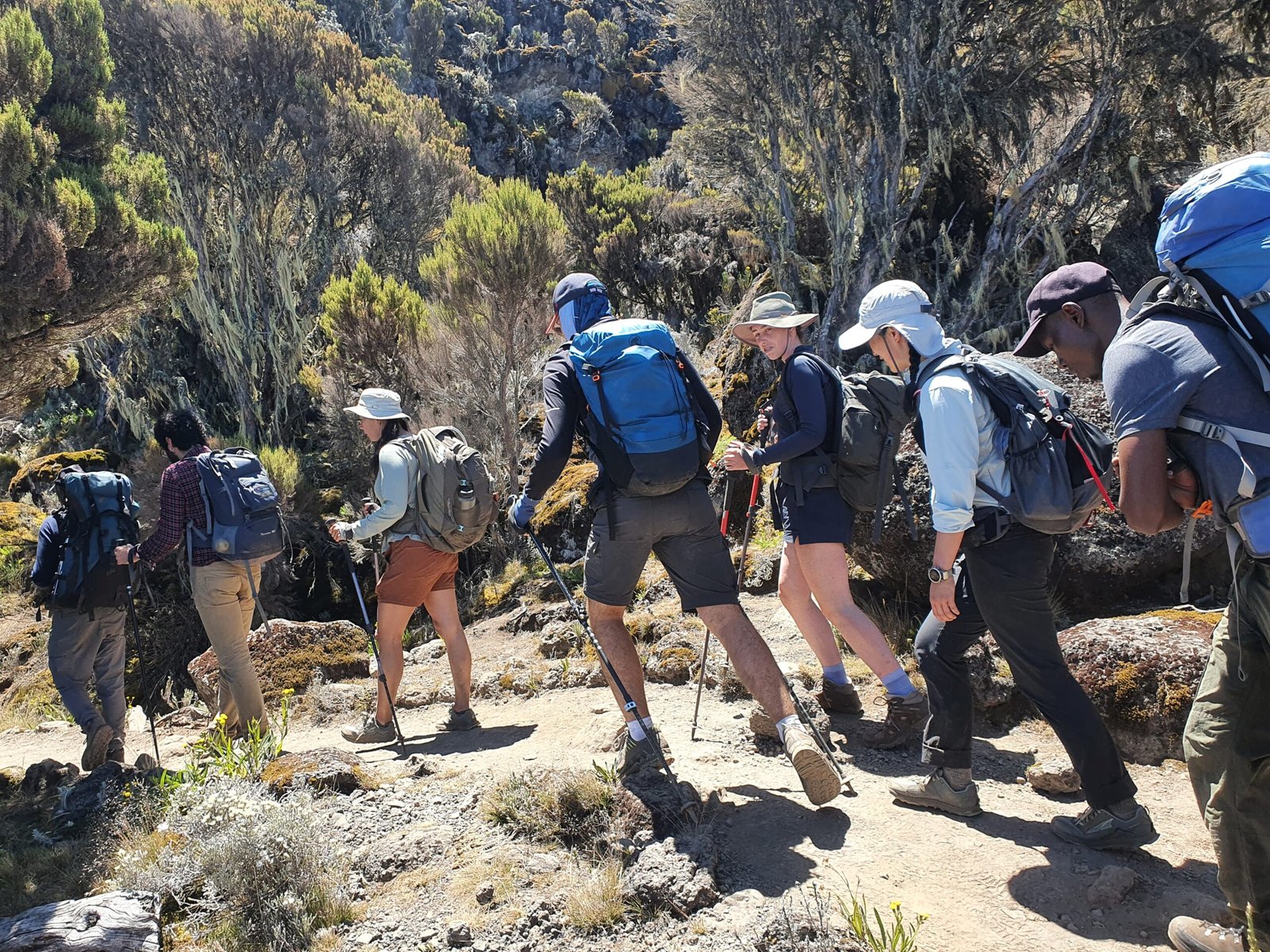 The best Conquer Kilimanjaro Machame Route 7-Day Trekking in 2025-2026