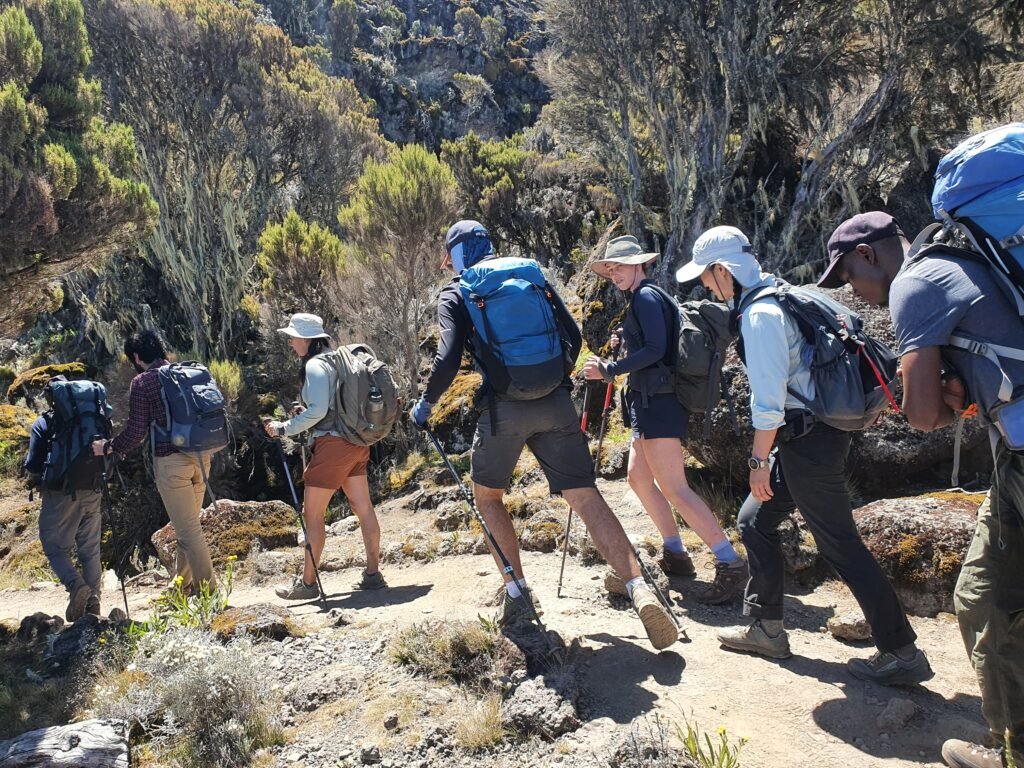 Today's update to the best ultimate Kilimanjaro Climbing Machame Route Guide 2025-2026