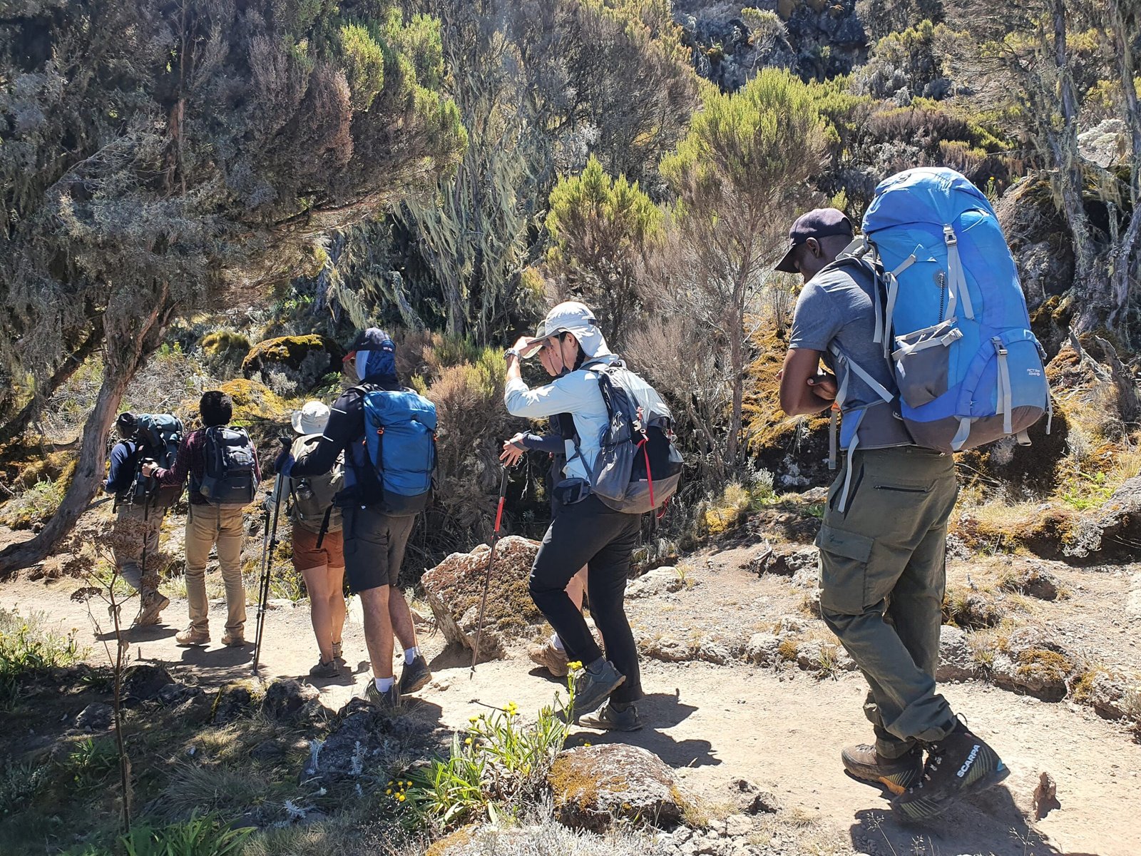 The Best Seven(7)-Days Kilimanjaro’s Climbing Rongai Route 2025