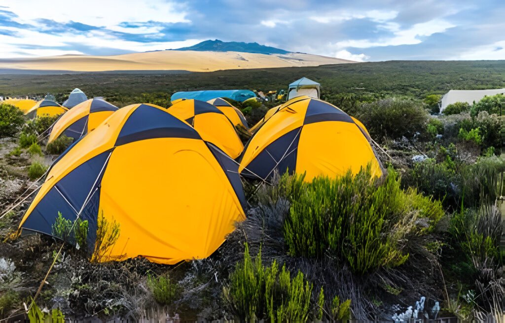 The best Eight-(8)-Days Kilimanjaro Lemosho full detailed complete package 2025-2026