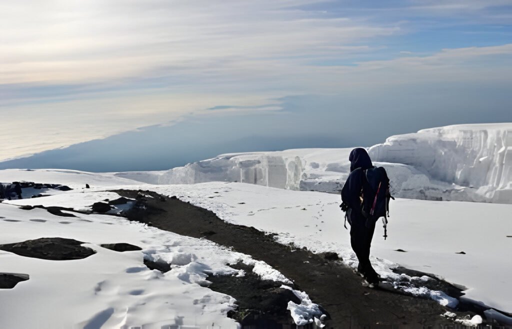 The best Kilimanjaro's Trekking Machame in Seven (7)-Days for 2025