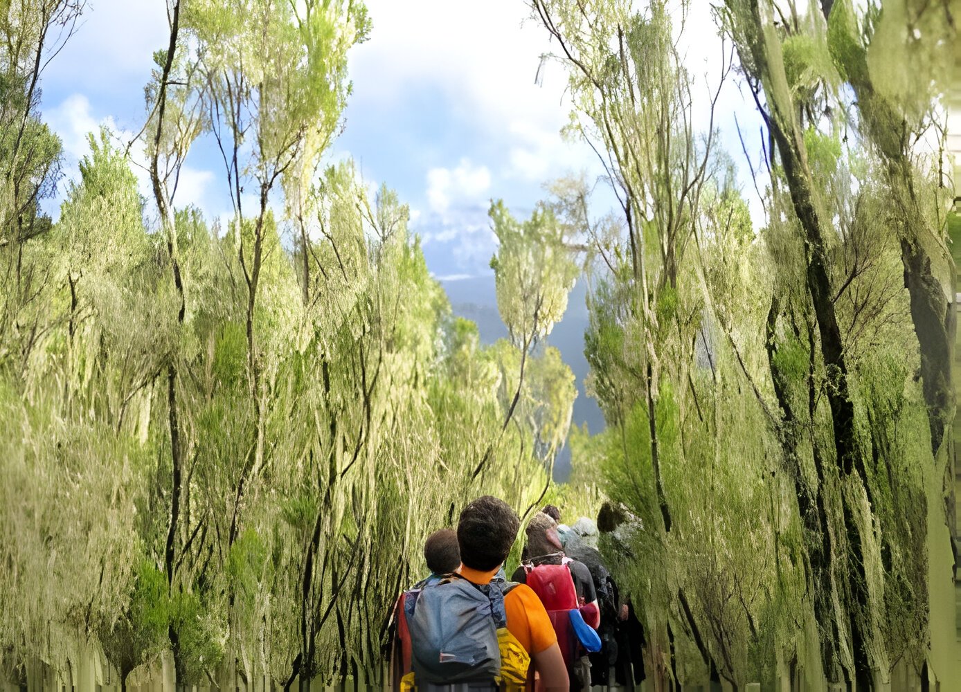 The best Kilimanjaro’s Trekking Marangu in five (5)-Days for 2025